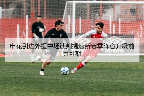 申花引进外援中场谈判提速新赛季阵容升级前景可期（LEYUSPORTS）