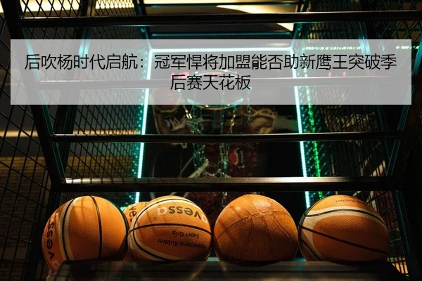 后吹杨时代启航：冠军悍将加盟能否助新鹰王突破季后赛天花板（LEYUSPORTS）